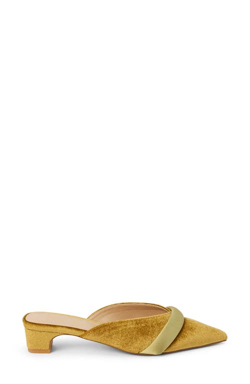 Matisse Kellan Pointed Toe Mule