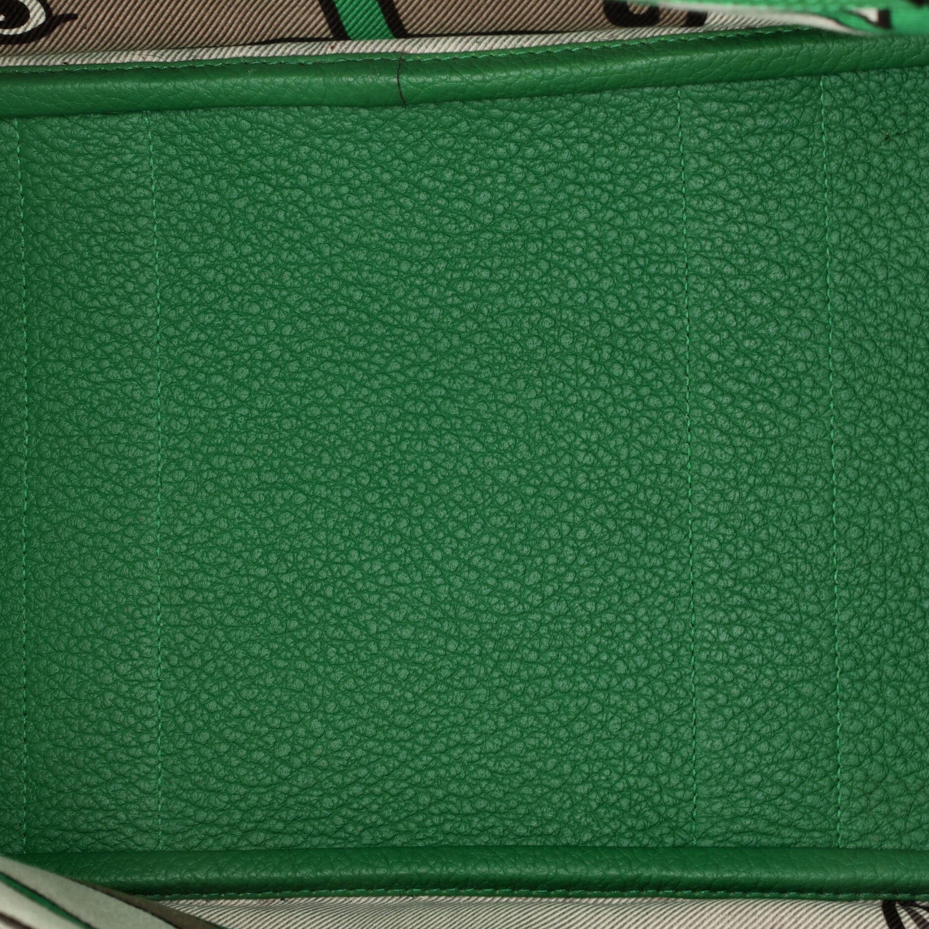 Garden Party Tote Leather with Printed Interior 36, Alternate, color, Green