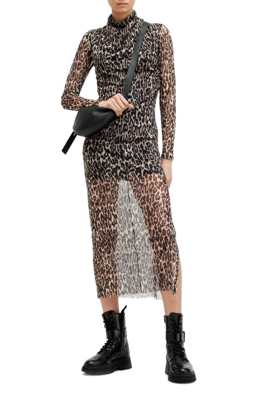 Allsaints Tia Leopard Print Semisheer Long Sleeve Dress In Anita Soft Pink