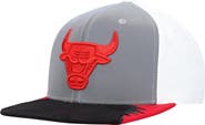 Mitchell & Ness Men's Mitchell & Ness Gray/White Chicago Bulls Day 5 Snapback Hat