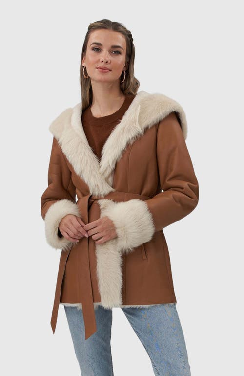 Gorski Belted Shearling Lamb Hooded Jacket With Toscana Trim And Cuffs In Multi