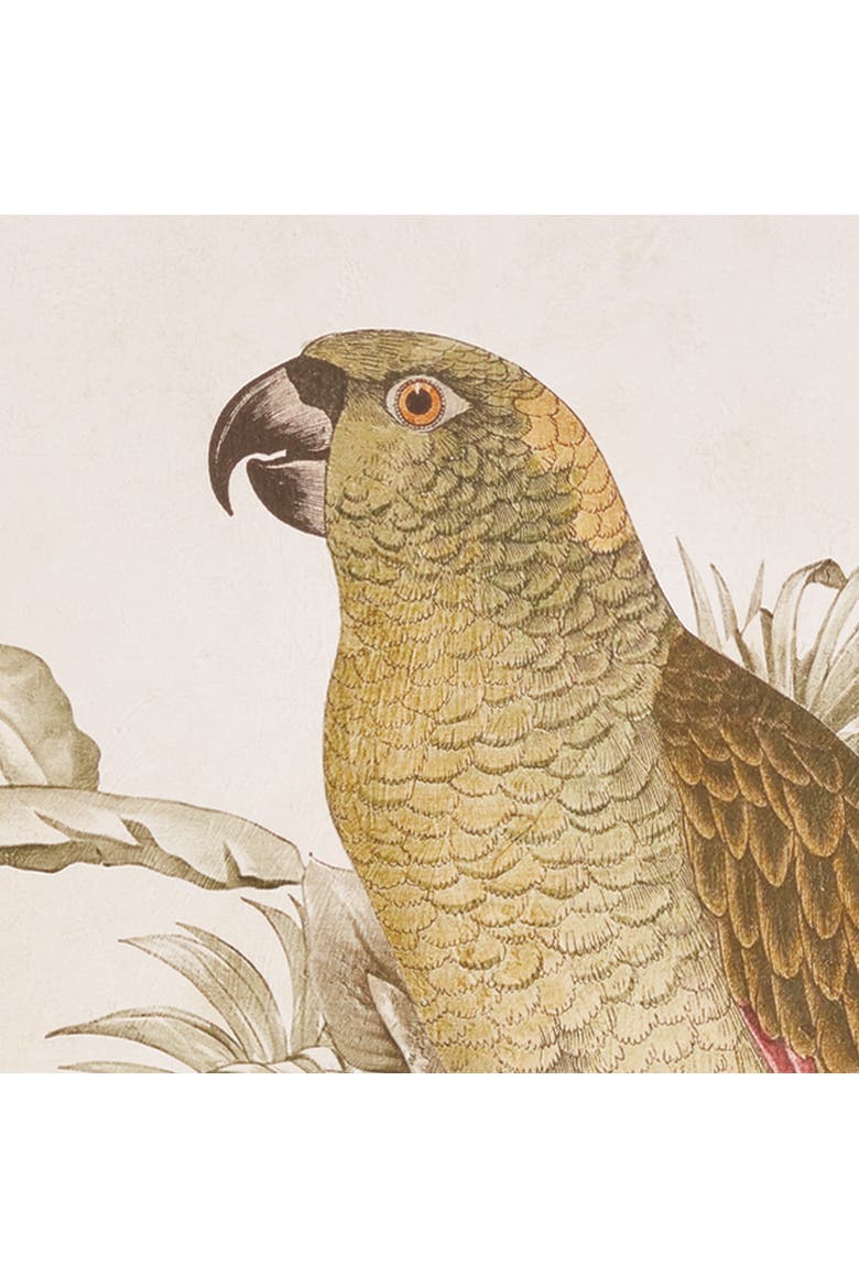 Tropical Parrot Prints, Set of 2 - Brown/Green - Fir Wood, Alternate, color, Green