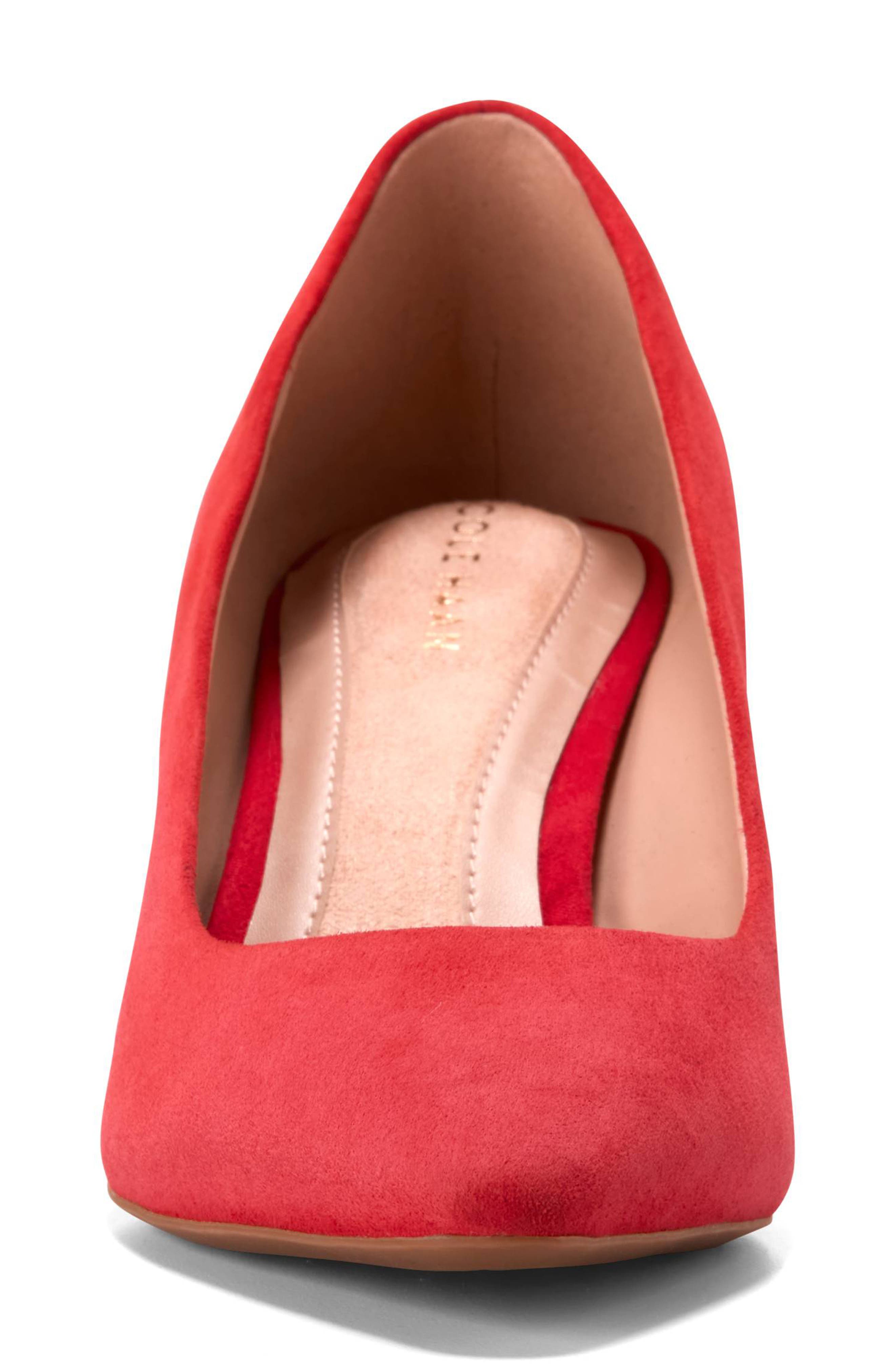 The Go-To Janey Pointed Toe Pump, Alternate, color, SALSA SUEDE