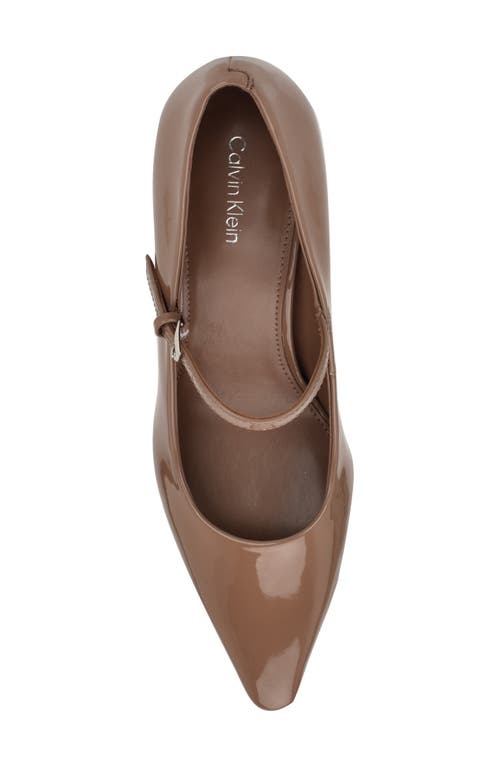 Calvin Klein Naprina Pointed Toe Mary Jane Pump In Brown