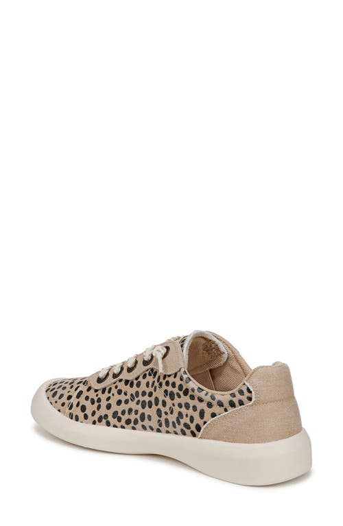 Blowfish Malibu Boardwalk Low Top Sneaker In Pixie Cheetah Fabric