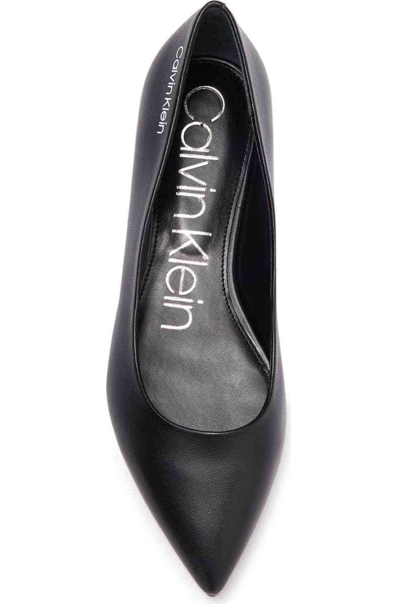 Calvin Klein Aliyah Pointed Toe Flat, Alternate, color,