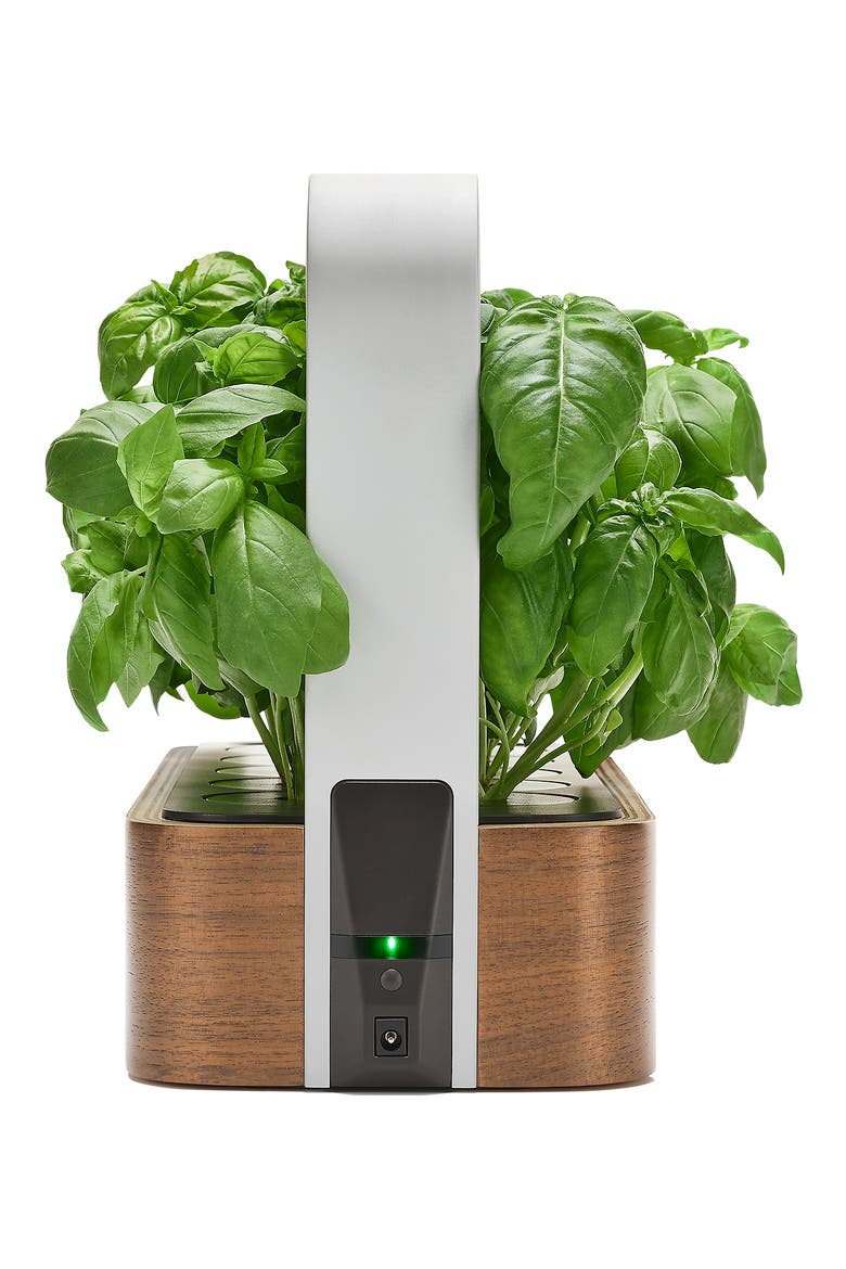 SmallGarden Smart Garden, Alternate, color, WALNUT
