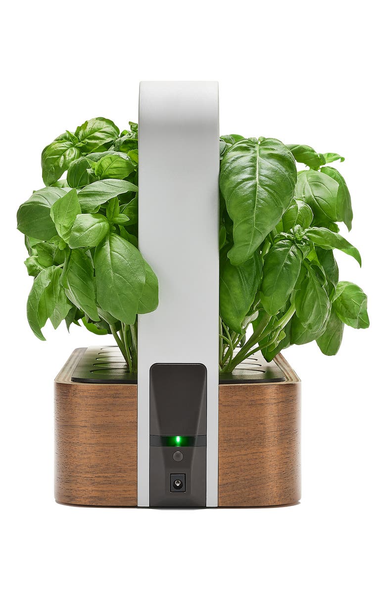 EDN SmallGarden Smart Garden, Alternate, color, 