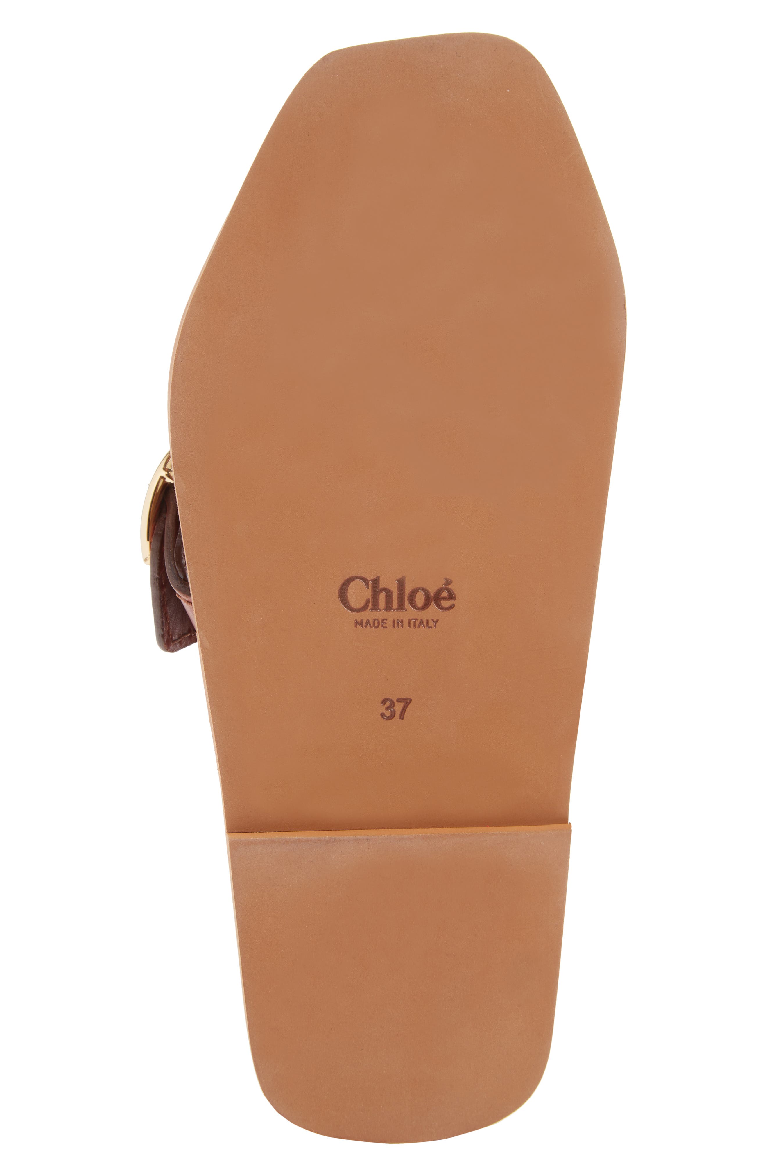 Chloé Woody Buckle Slide Sandal, Alternate, color, 
