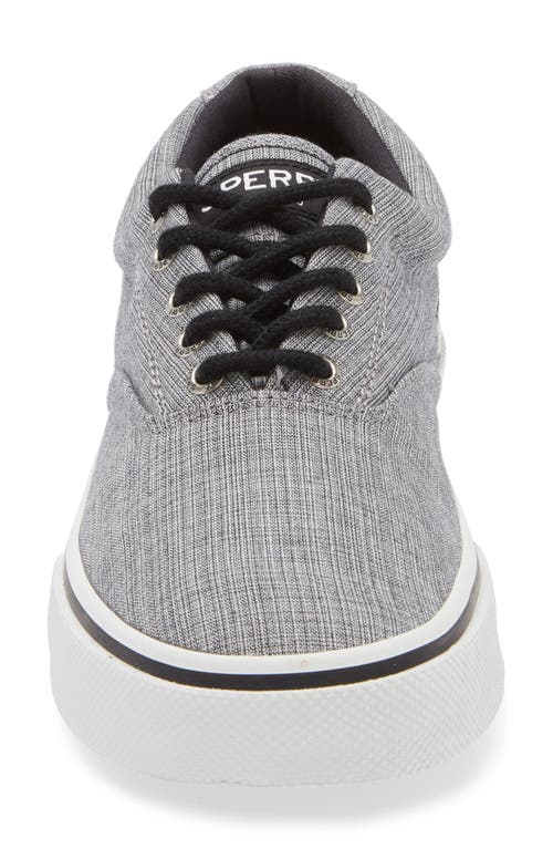 Sperry Halyard Cvo Cotton Chambray Sneaker In Gray