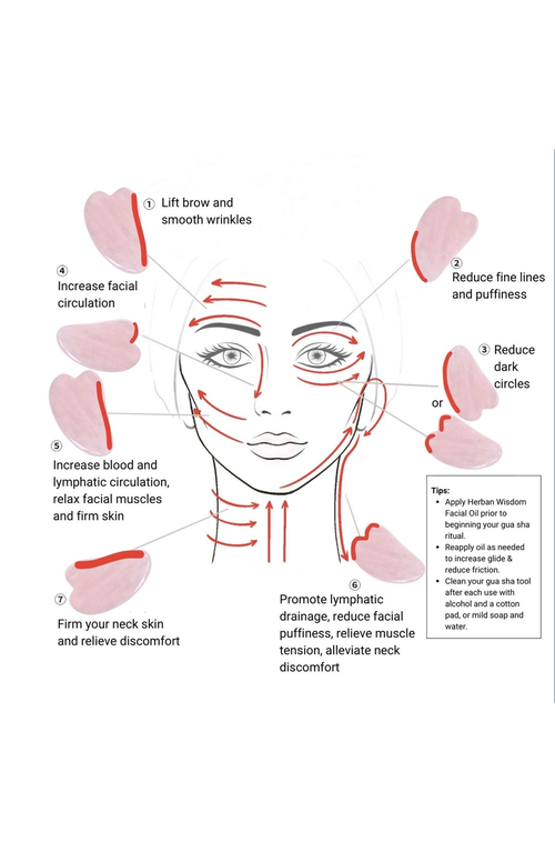 Humanist Beauty Gua Sha Tool In Pink