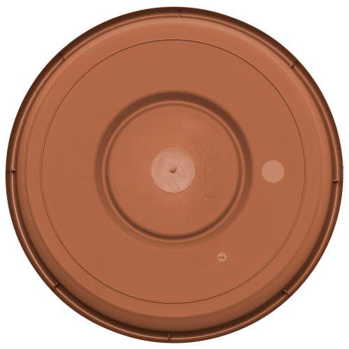 Bloem Terra 14.75 Inch Resin Saucer In Brown