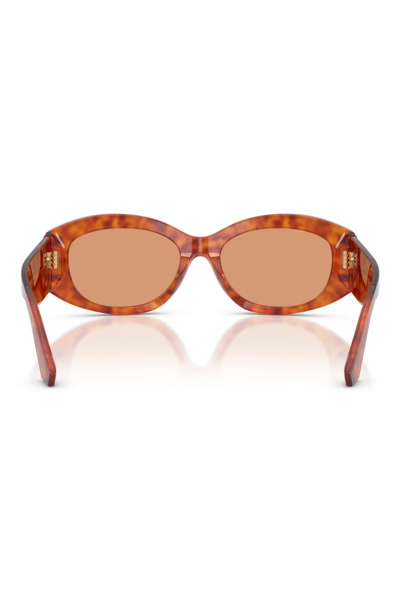 55mm Oval Sunglasses, Alternate, color, CAMEL HAVANA / ORANGE
