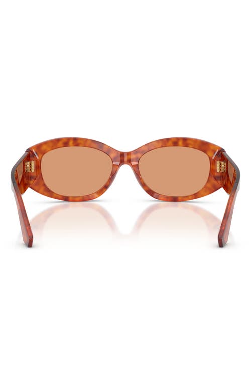 Dolce & Gabbana Dolce&gabbana 55mm Oval Sunglasses In Multi
