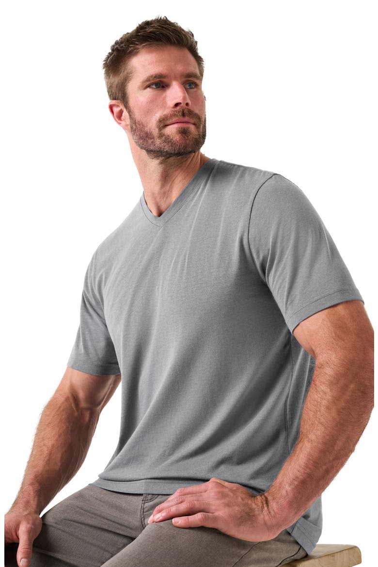 Cloud V-Neck T-Shirt, Alternate, color, LIGHT GREY