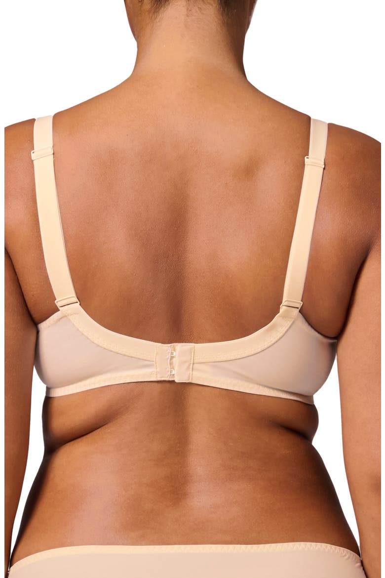 Delice Sheer Underwire Plunge Bra, Alternate, color, PAMPA