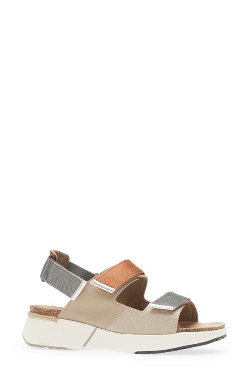 Naot Odyssey Slingback Sandal In Beige Lizard/soft Beige