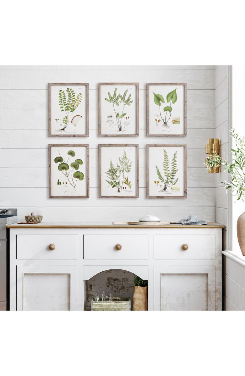 Napa Home & Garden Shade Garden Study, Set Of 6, Alternate, color, Green