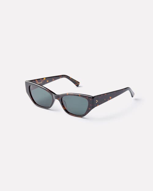 Epokhe Reprise Sunglasses In Brown