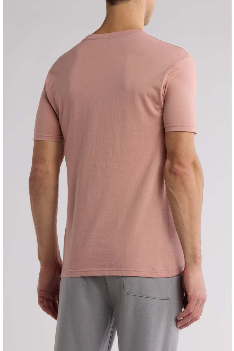 Wish List Graphic Print T-Shirt, Alternate, color, PALM