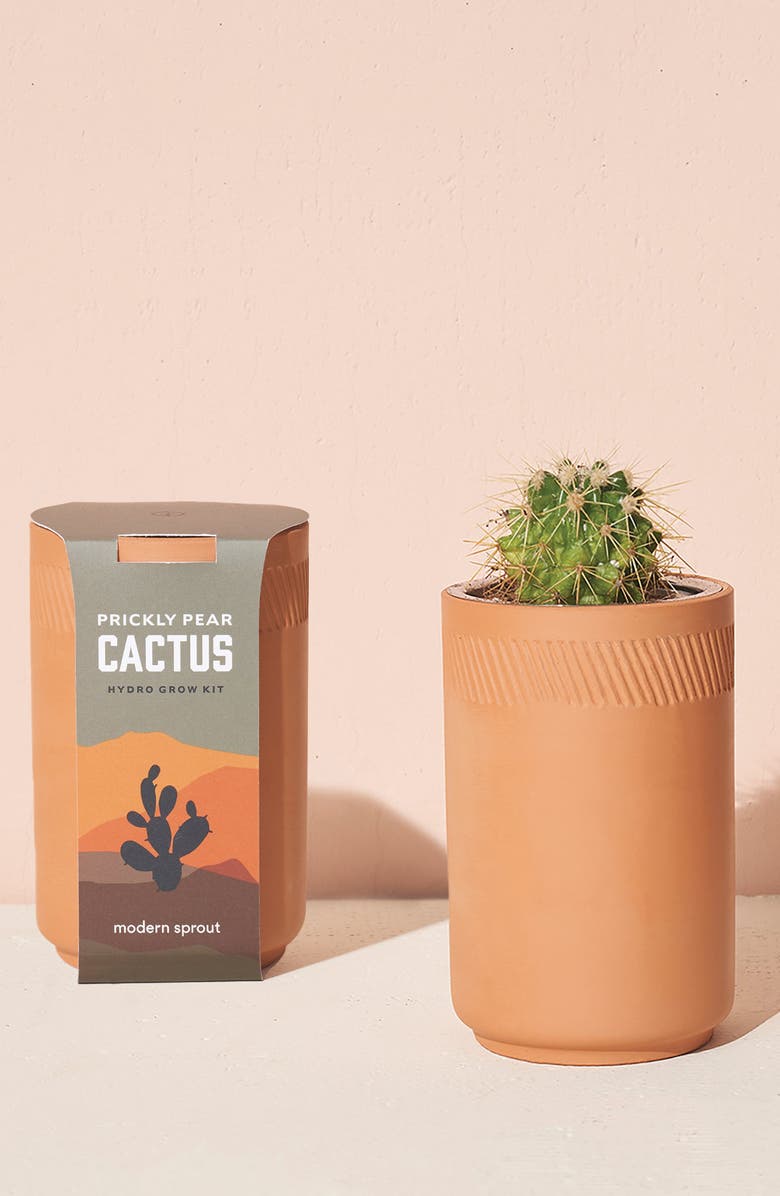 Modern Sprout Terra Cotta Grow Kit, Alternate, color, 