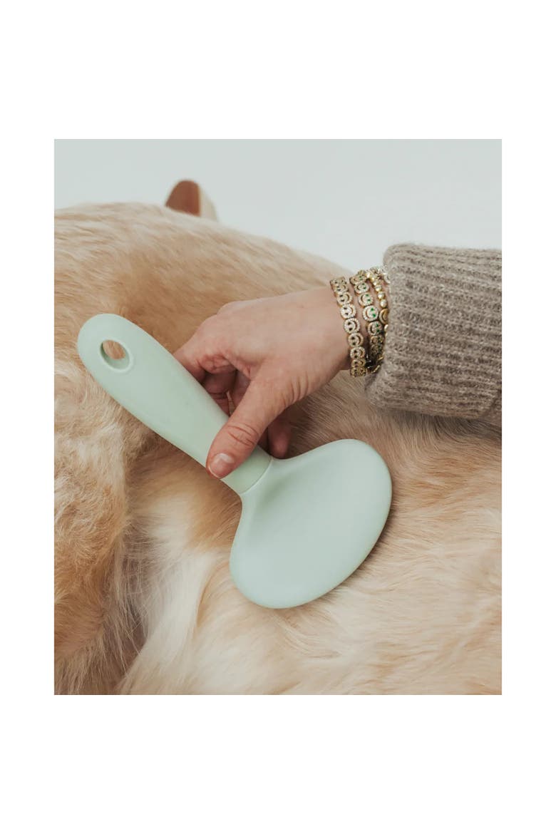 Pet Slicker Brush, Large, Sage Green, Dog & Cat Grooming Tool, Alternate, color, Green