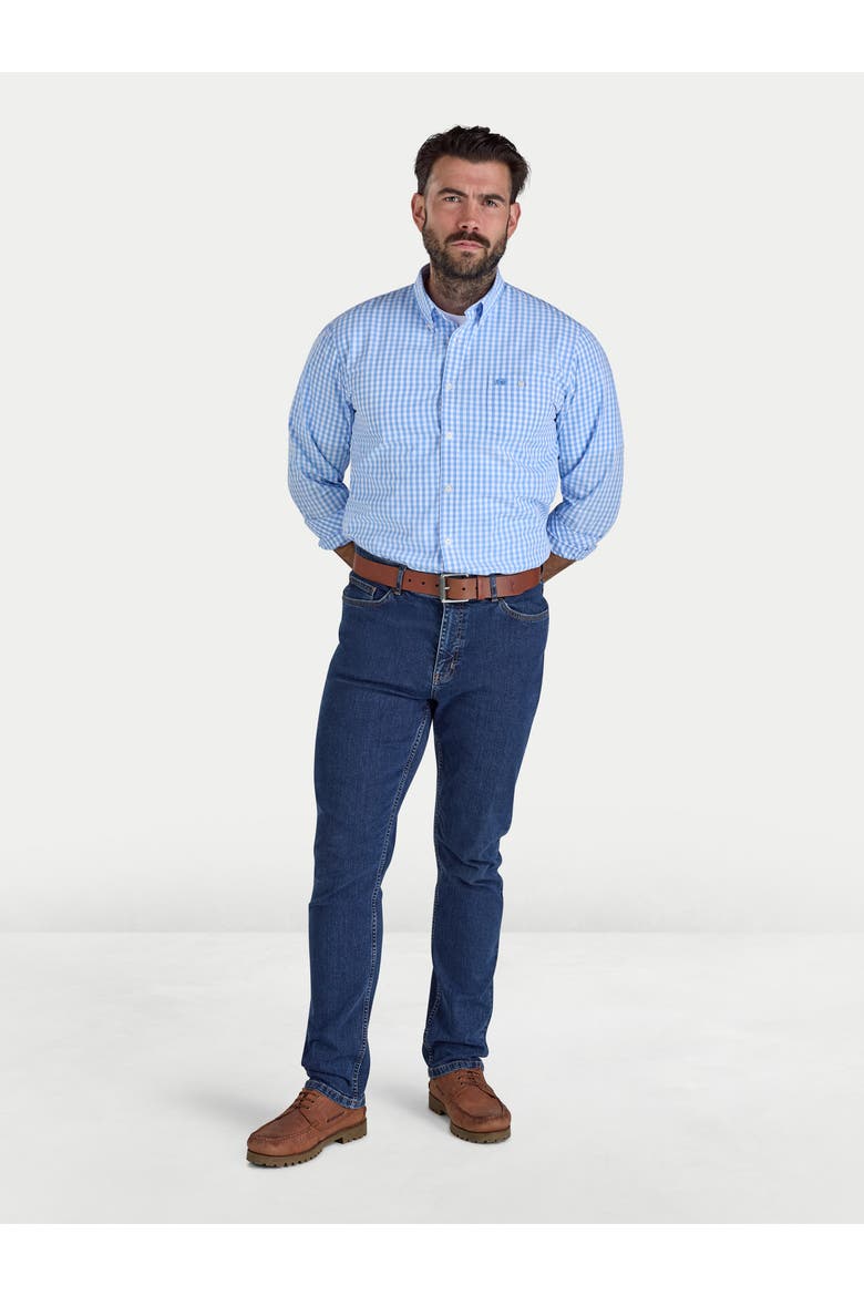 Classic Long Sleeve Gingham Shirt, Alternate, color, Sky Blue