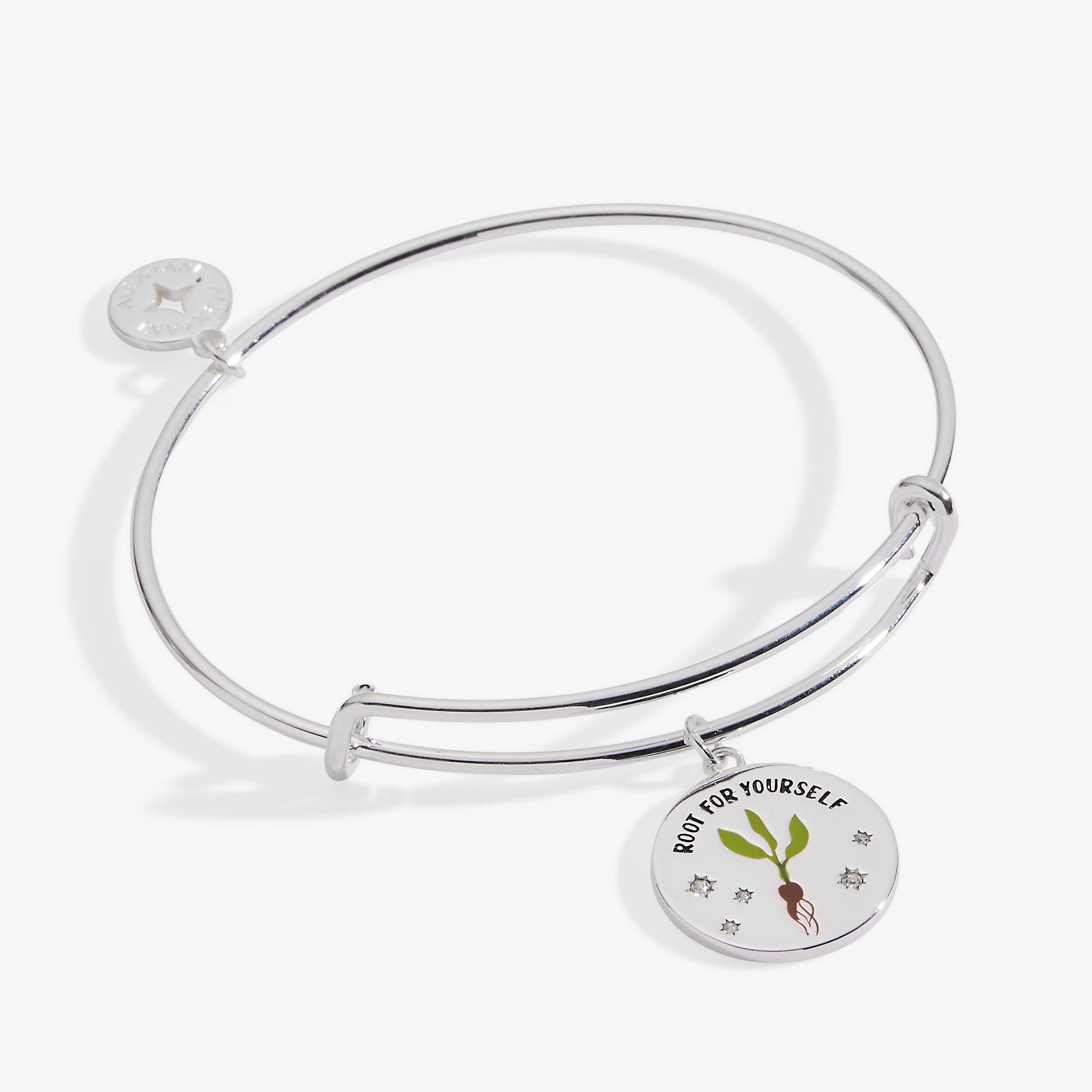 Alex and Ani 