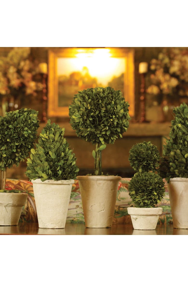 Boxwood Topiaries Faux (Fake) Set of 8, Alternate, color, Brown