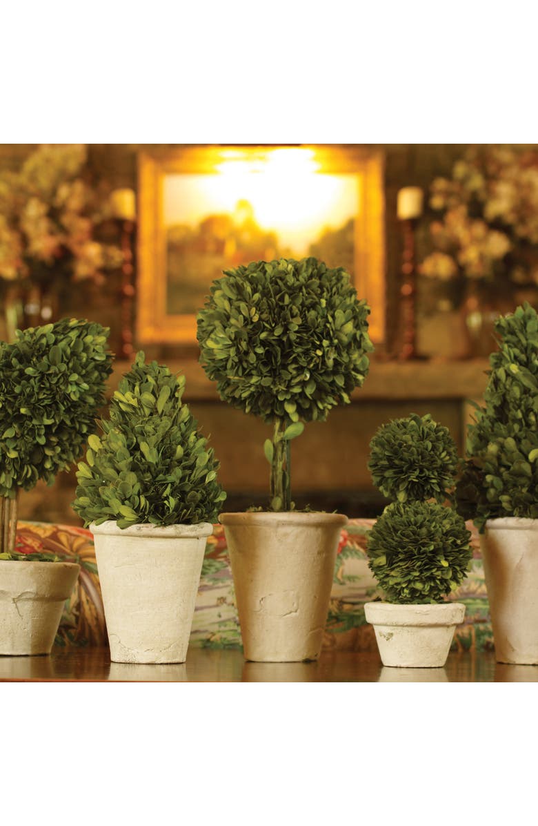Napa Home & Garden Boxwood Topiaries Faux (Fake) Set of 8, Alternate, color, Brown