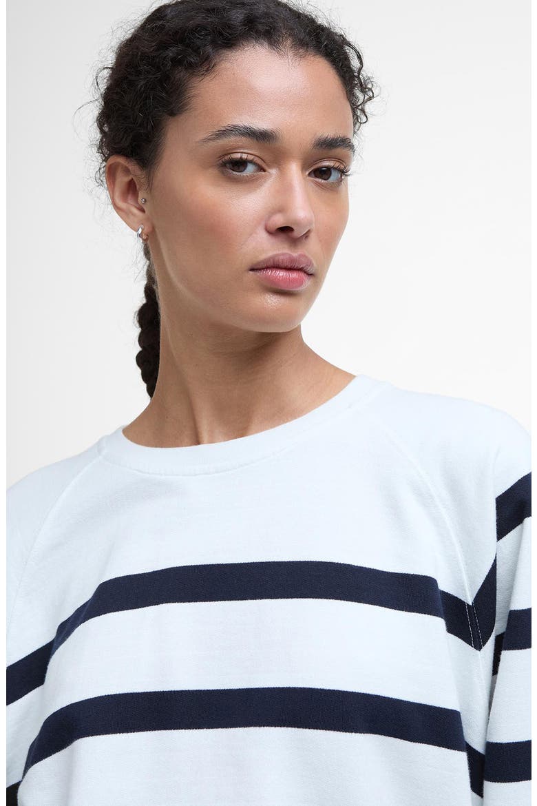 Delaney Stripe Cotton Fleece Sweatshirt, Alternate, color, CLOUD STRIPE