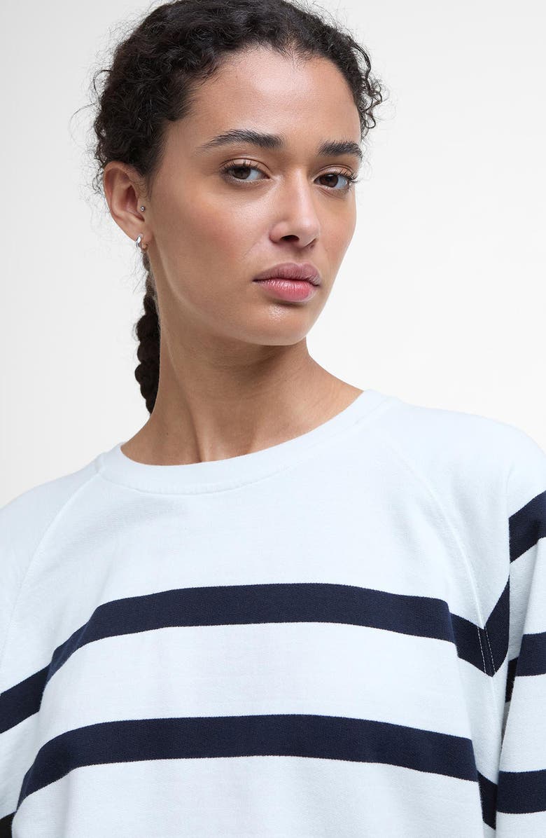 Barbour Delaney Stripe Cotton Fleece Sweatshirt, Alternate, color, Cloud Stripe