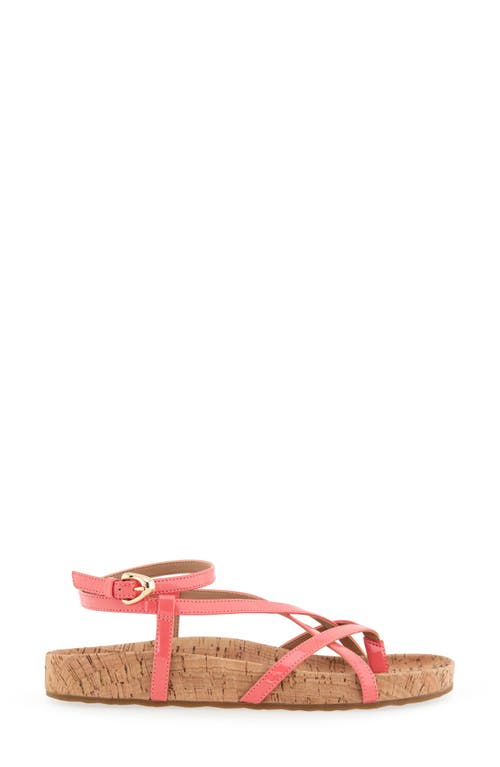 Shop Aerosoles Leera Ankle Strap Flat Sandal