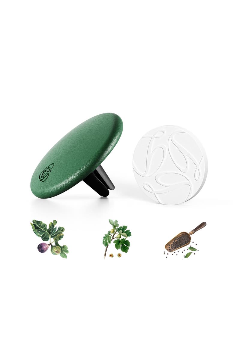 Fig Green Lambskin Car Diffuser and Insert, Main, color, Tesla