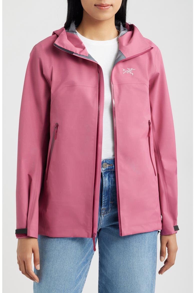 Beta Gore-Tex Waterproof Jacket, Alternate, color, LIGHT RENEGADE