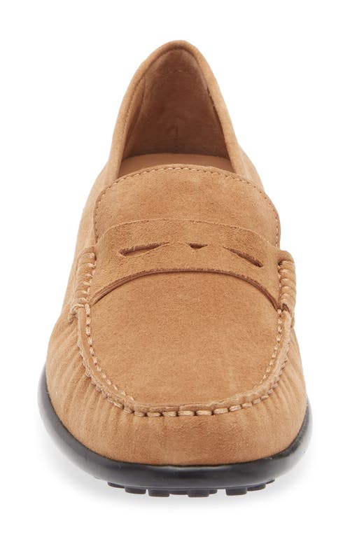 The Flexx Winter Driving Shoe In Brown