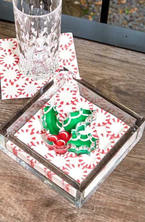 Tara Wilson Designs Napkin Holder In Transparent
