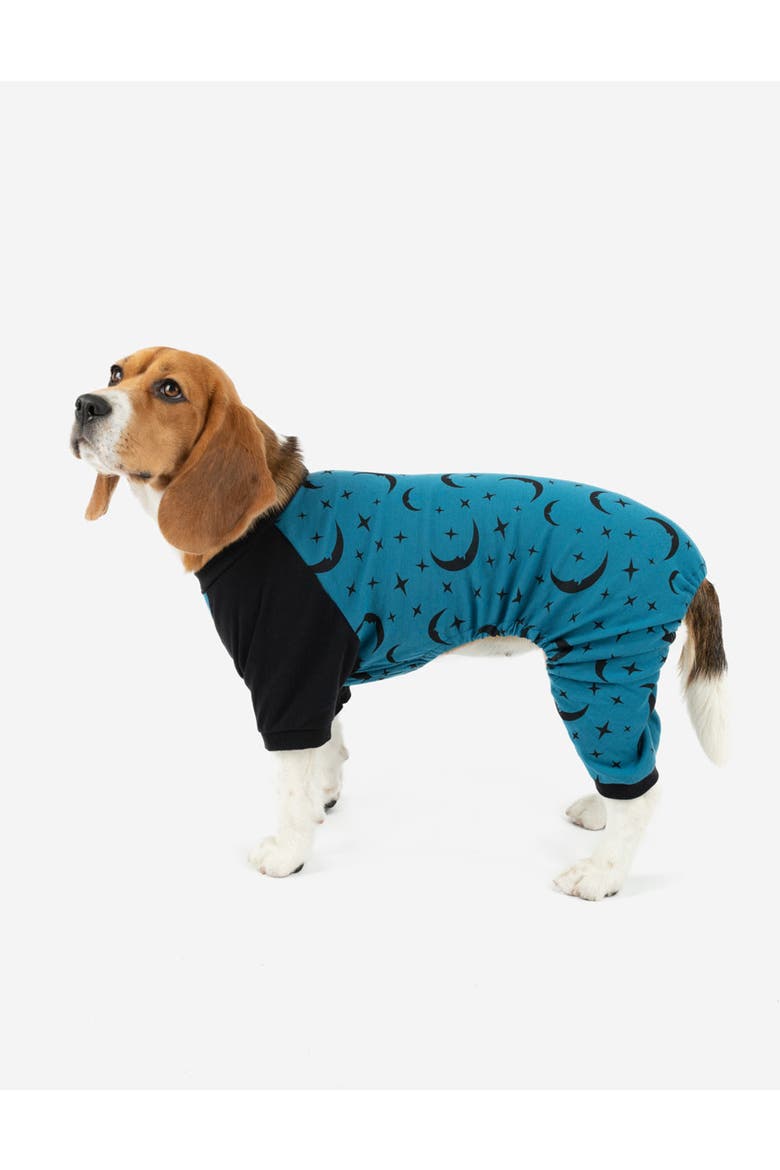 Dog Cotton Matching Family Pajamas, Fun & Novelty Prints, Alternate, color, Moon