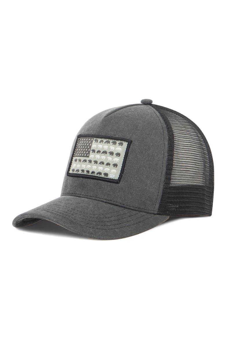 Cotton Canvas Trucker Hat, Main, color, BLACK