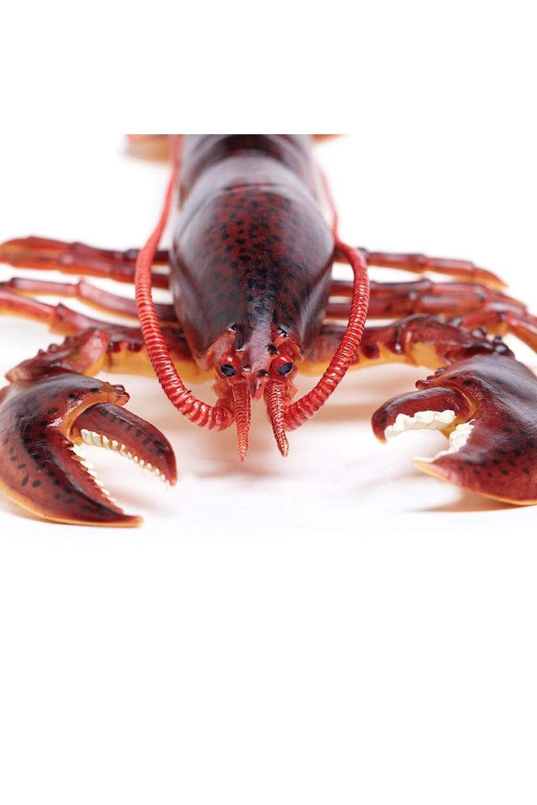 Maine Lobster Toy, Alternate, color, No Color