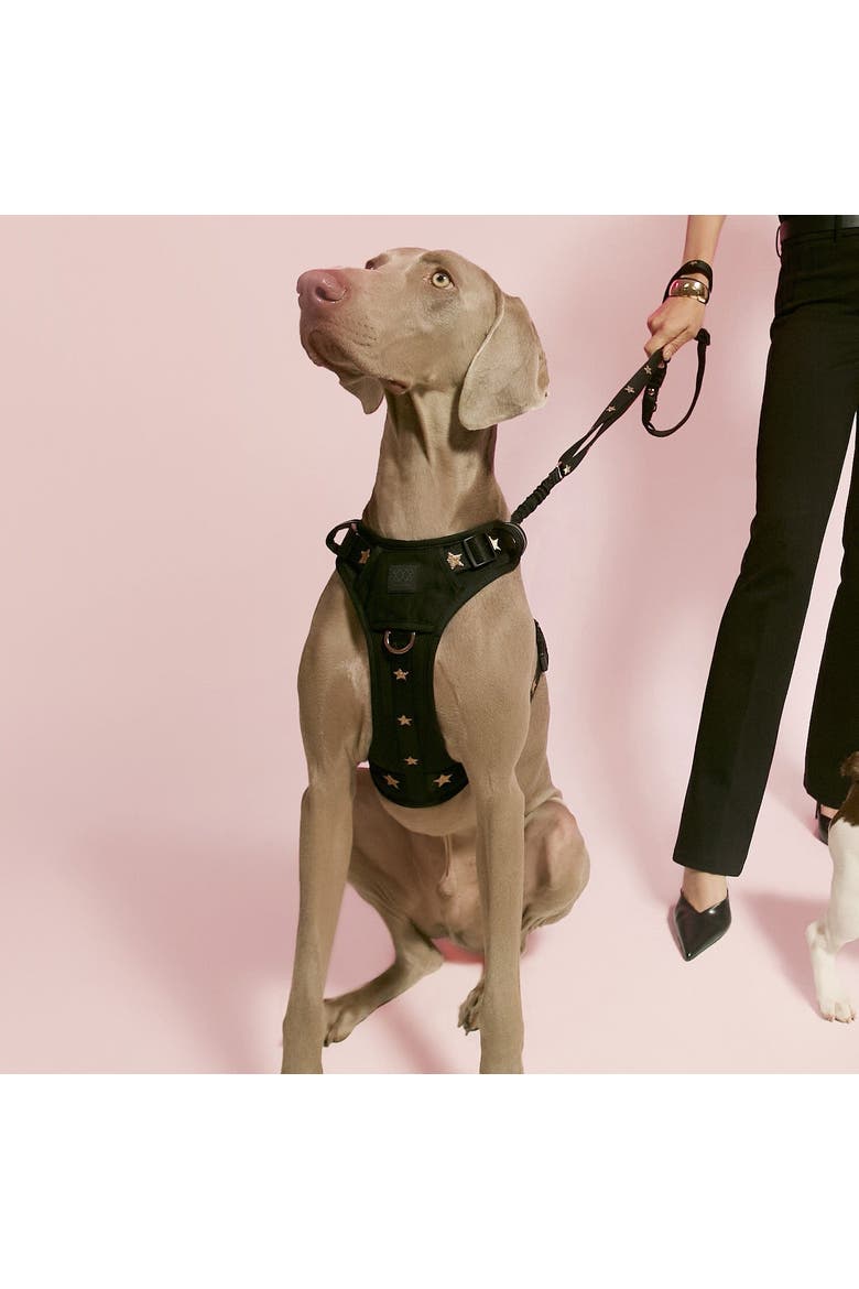 The NoMad Adjustable Luxe Harness, Alternate, color, Rockstar - Large