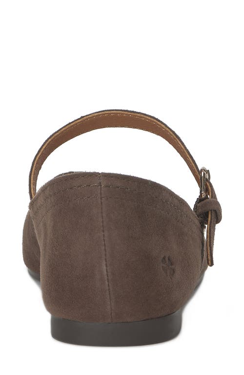 Lucky Brand Albajane Flat In Brown