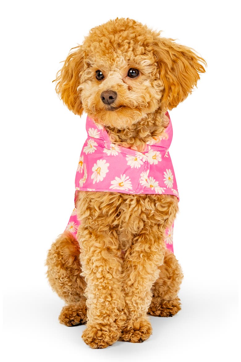 Pick Me Water Resistant Pet Poncho, Main, color, DAISY