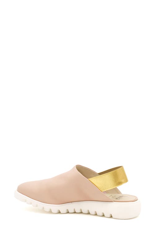 Amalfi By Rangoni Elettrona Slingback Flat In Beige Parm/gold Elastic
