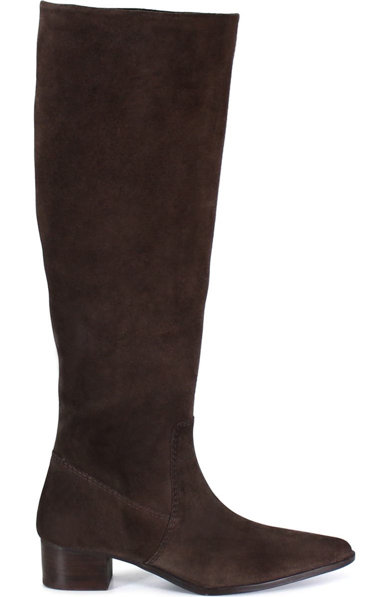 Diba True DIG ITAL Leather Sleek Tall Boot, Alternate, color, Dark Brown