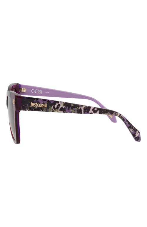 Just Cavalli 54mm Square Sunglasses In Violet Havana Brown