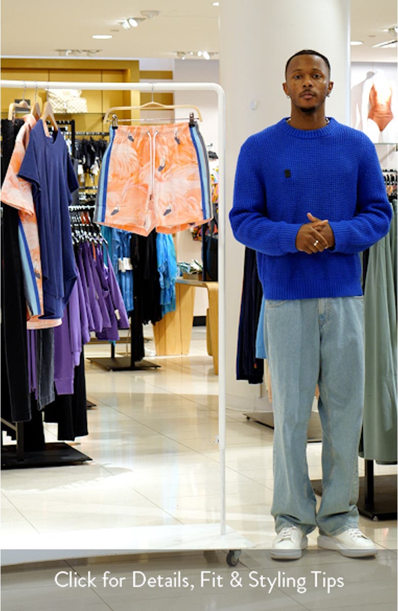 Flamingo Performance Swim Trunks, sales video thumbnail