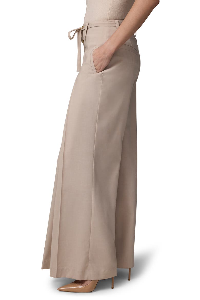 Milan Tie Waist Wide Leg Pants, Alternate, color, CHAMOIS