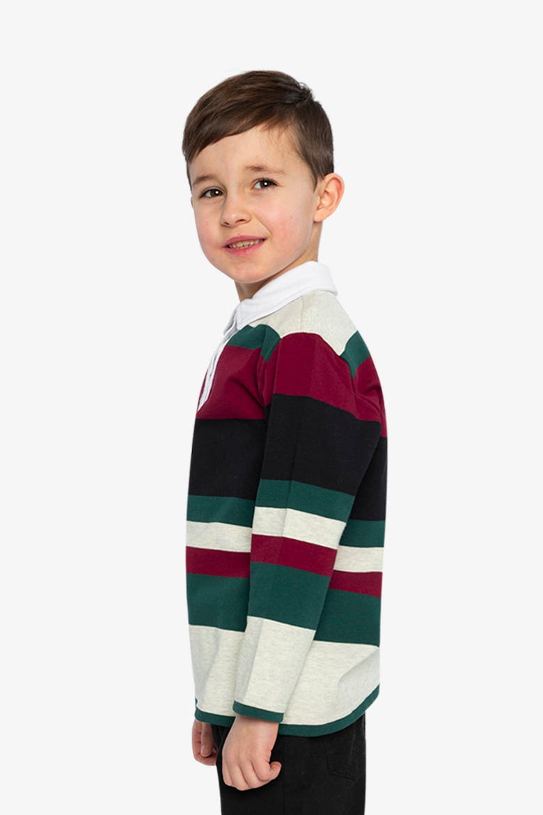 Striped Button Placket Long Sleeve Polo Top, Alternate, color, Blue Striped Red, Green & Grey
