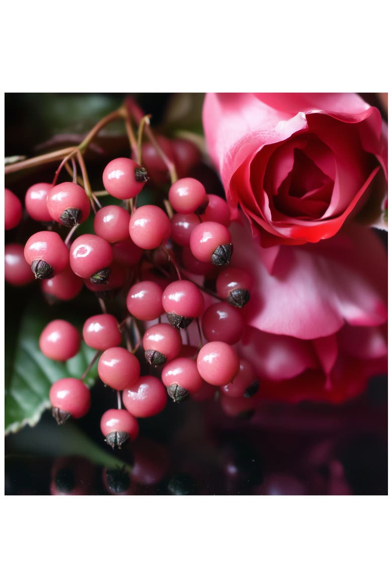 Ruby Flame Fragrance, Alternate, color, NO COLOR
